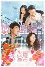 Sweet & Sour [Doce e Azedo]