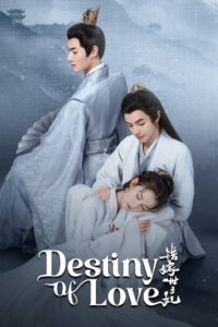 Destino do Amor: Season 1
