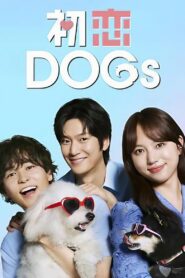 Amor é para os cães [Love is for the DOGs]